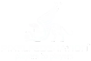 Pixel Federation Logo
