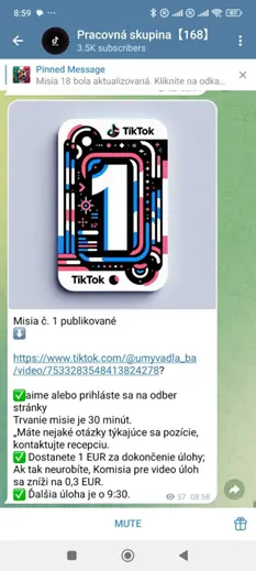 Telegram work group