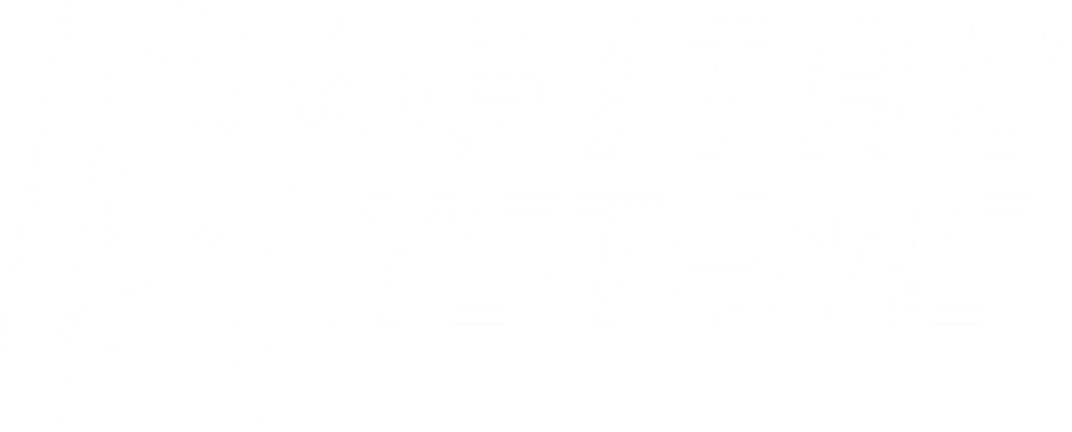 DS Logo