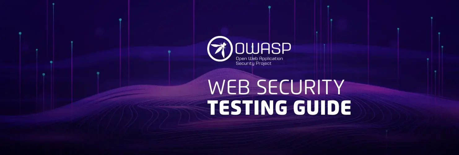OWASP WSTG Illustration - Web Application Security Testing Methodology